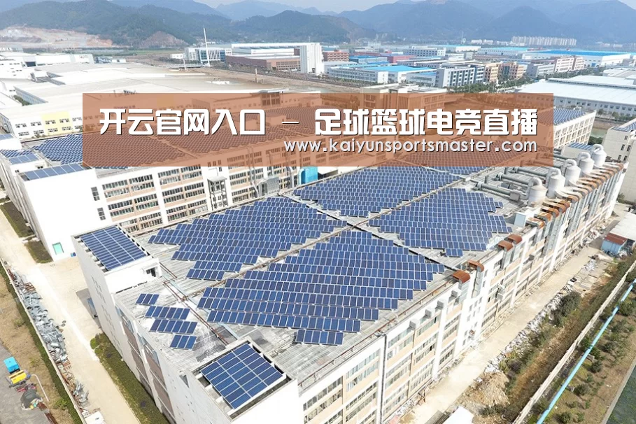 案例展示三