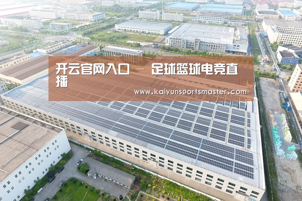 案例展示三