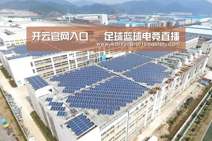 案例展示四