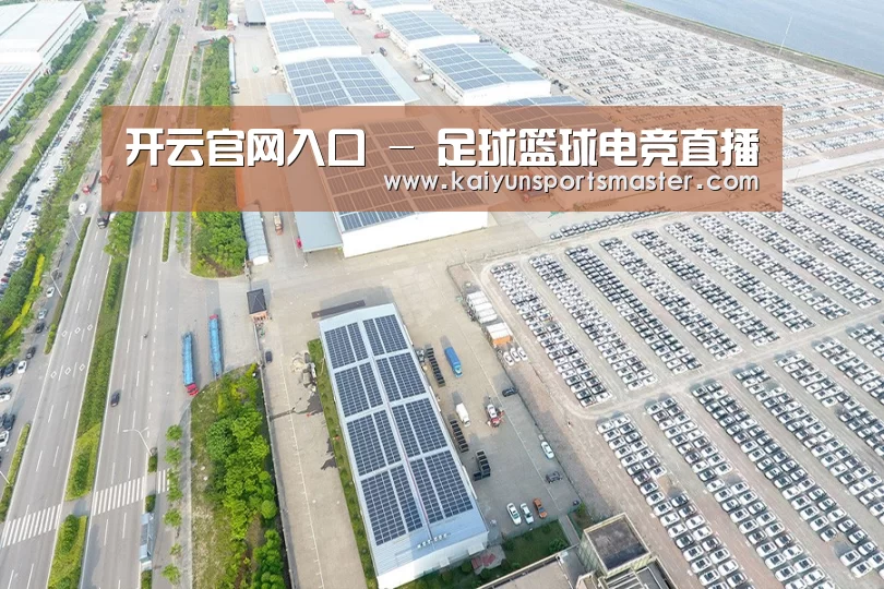 案例展示二