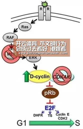 开云体育_不文明行为会成过去看好 港媒看好内地游客素质提升(图2) 开云地址