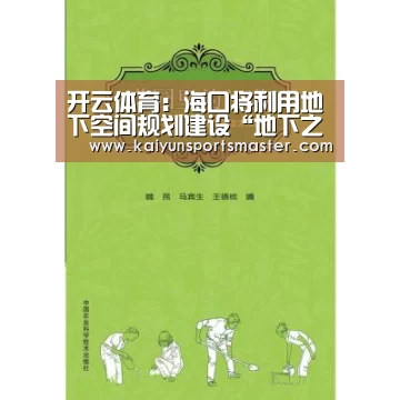 开云体育:海口将利用地下空间规划建设“地下之城”(图2) 开云体育